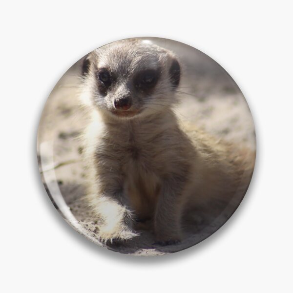 Item preview, Meerkat Pup designed and sold by Jo Nijenhuis.