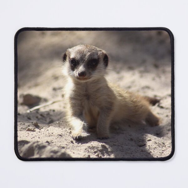 Item preview, Meerkat Pup designed and sold by Jo Nijenhuis.