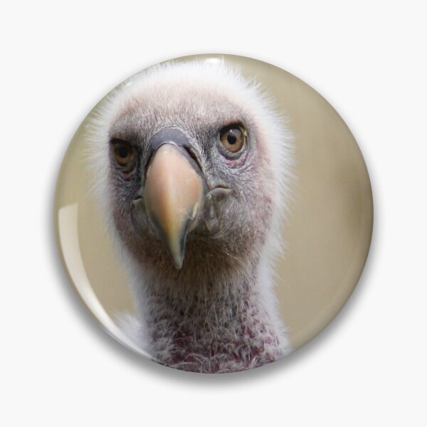 Item preview, Eye to Eye - Rüppell's Vulture designed and sold by Jo Nijenhuis.