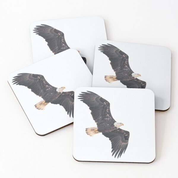 Item preview, Soaring bald eagle on white designed and sold by KRFNatureGifts.