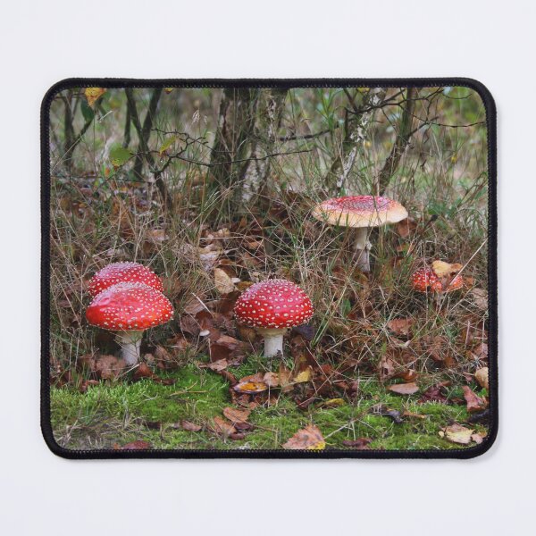 Item preview, A Family Amanita muscaria designed and sold by Jo Nijenhuis.