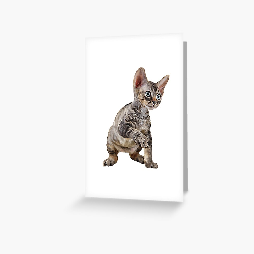 Impression Artistique Dessin Chat Cornish Rex Par Bonidog Redbubble