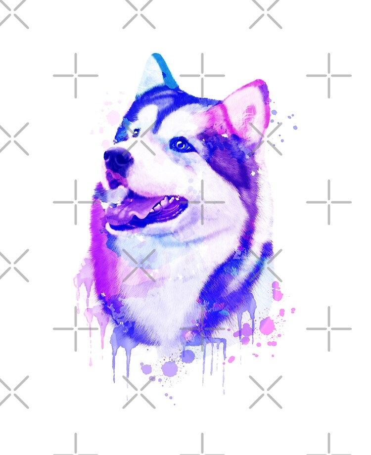siberian husky art