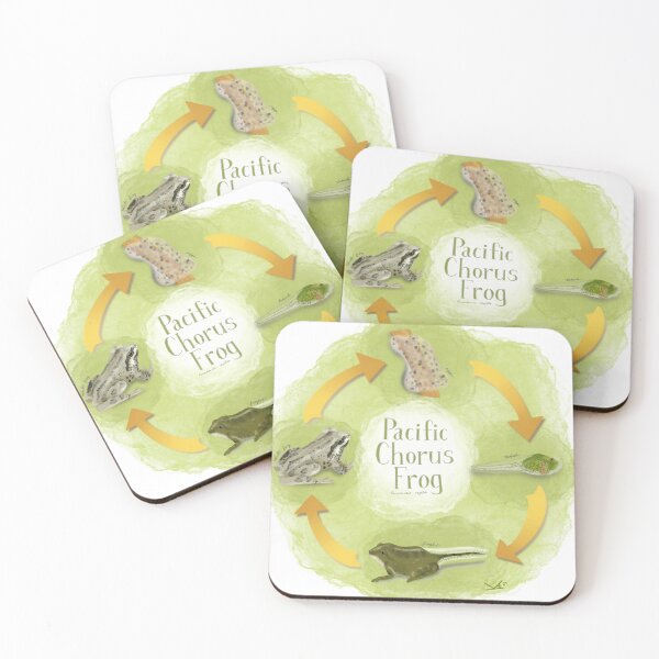 Item preview, Pacific Tree Frog Life Cycle designed and sold by Fernheart Designs.