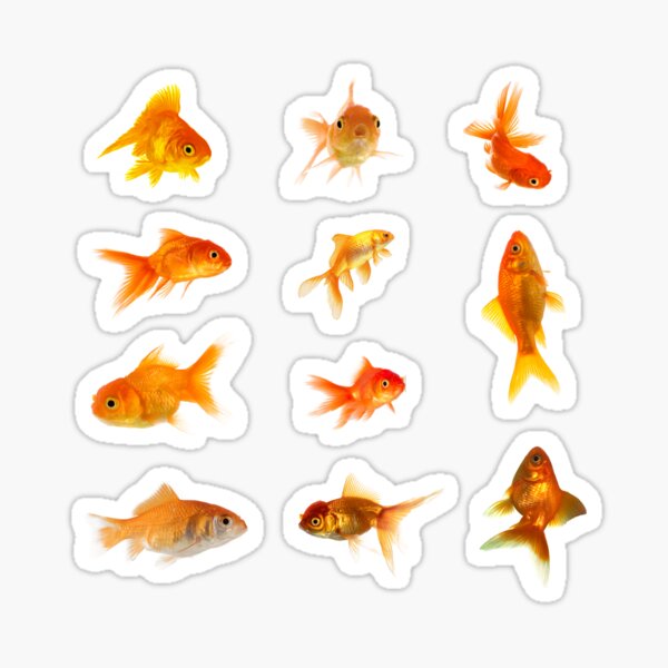 Vista previa del artículo con la obra «Paquete de pegatinas de peces de colores pegatinas de peces de colores», diseñado y vendido por ygmrribi.