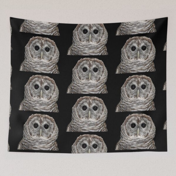 Item preview, Barred Owl #2 designed and sold by Artist4God.