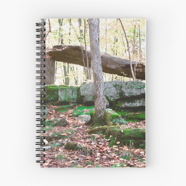 Item preview, Fallen Tree designed and sold by Shulie1.