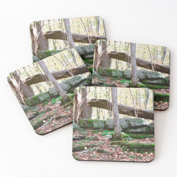 Item preview, Fallen Tree designed and sold by Shulie1.