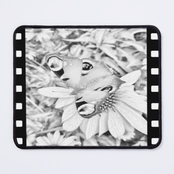 Artikelvorschau, Schmetterling entworfen und verkauft von 13thDesign.