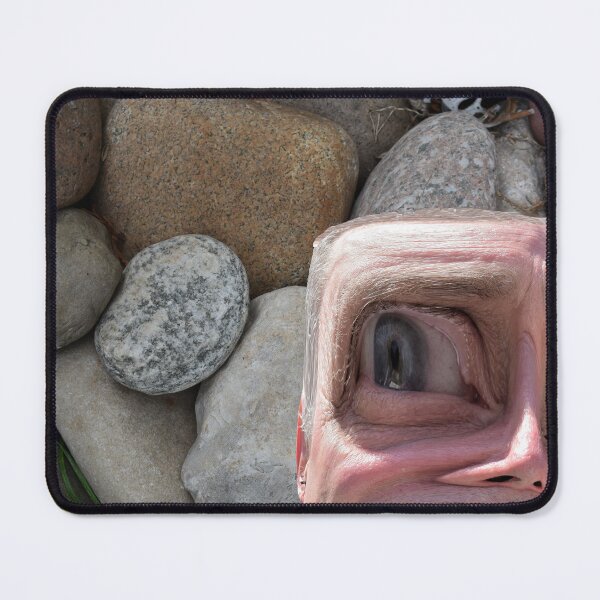 Item preview, Rocky Spy designed and sold by John McCloskey.