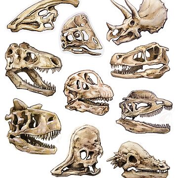 Artwork thumbnail, Dinosaur Skull Stickers Set by CassWArt