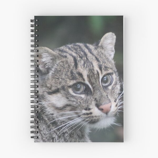 Item preview, Portrait of a Japanese Fishing Cat designed and sold by Ladymoose.