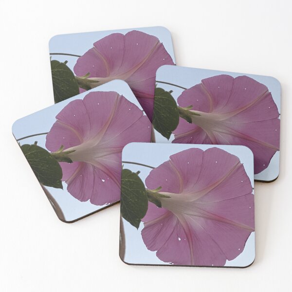 Item preview, Glorious - pink morning glory, white sky designed and sold by aeolia.