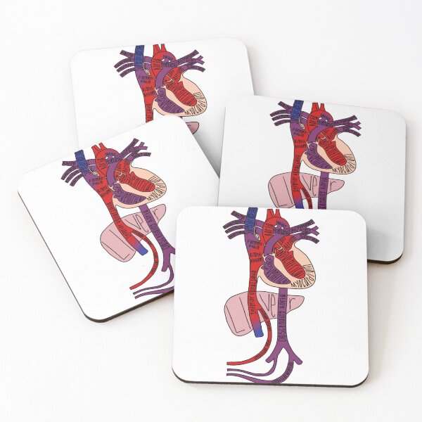 Item preview, Anatomía de la circulación del corazón fetal etiquetada designed and sold by Katherine Winner.