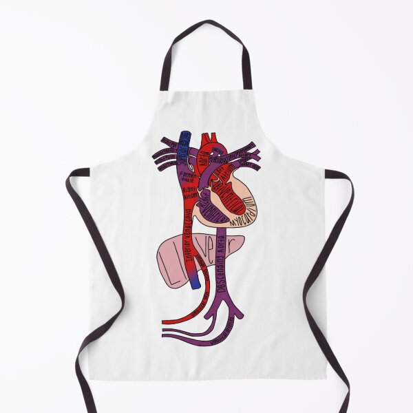 Item preview, Labeled Fetal Heart Circulation Anatomy designed and sold by Katherine Winner.