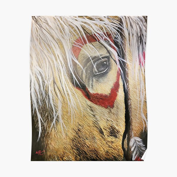 Native American Cherokee Pride Horse Warrior Native Indian 3D