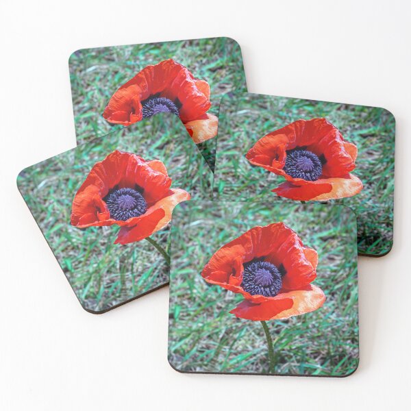 Item preview, Lone Red Poppy designed and sold by Tom McPherson Photography.