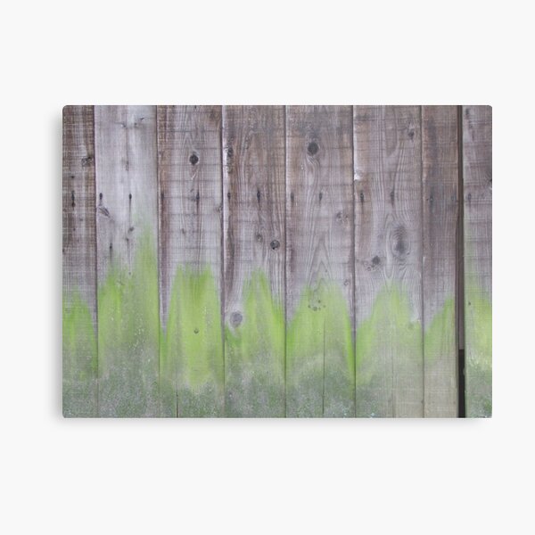 Shrine walls (3 of 4) Metal Print