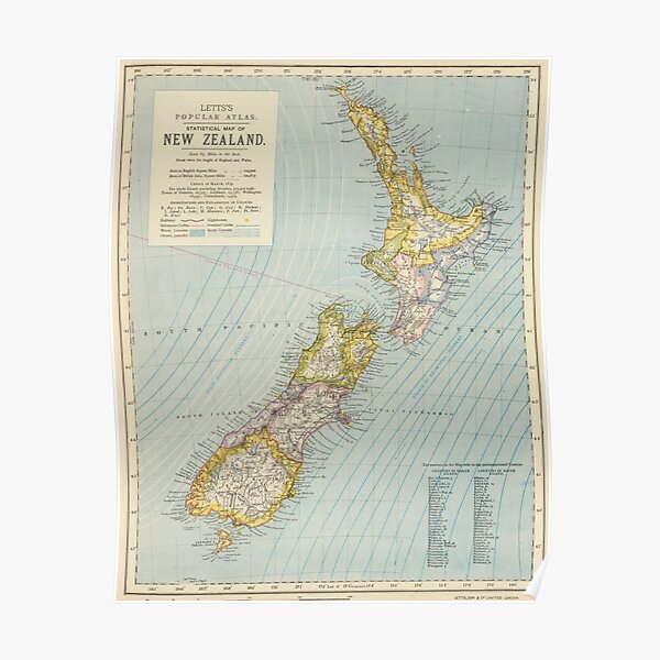 Vintage New Zealand Old Map Original Gift Home Decor Art Poster Print