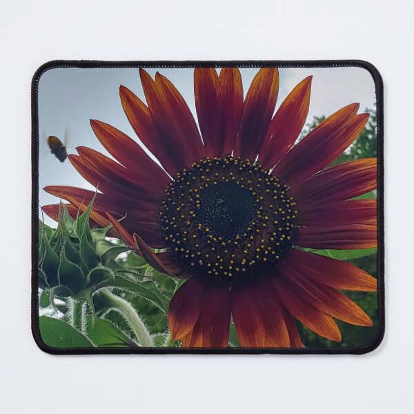 Item preview, Bee in Flight designed and sold by Jennifer Kososki.