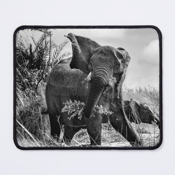 Item preview, A Protective Mama Elephant in Black and White designed and sold by Kay Brewer.