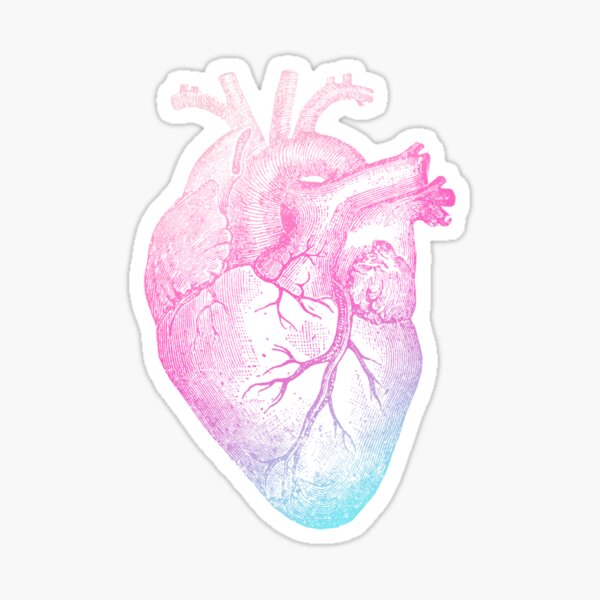 Cardio Stickers for Sale