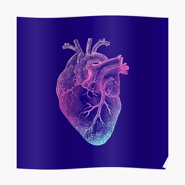 "Pinky Heart - Vintage Heart Anatomy" Poster For Sale By StilleSkygger ...