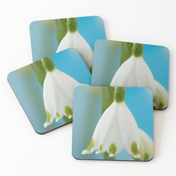 Item preview, Leucojum aestivum  'Gravetye Giant'  AGM  Summer snowflake   designed and sold by Chris Burrows.