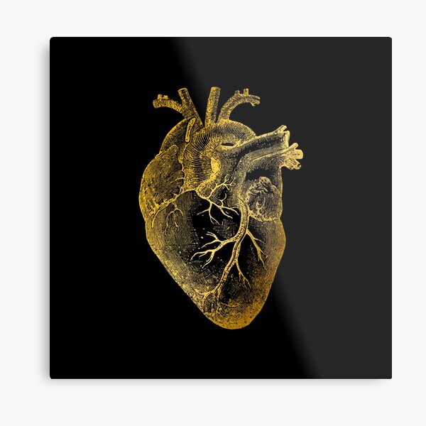 Anatomical Heart Metal Prints for Sale