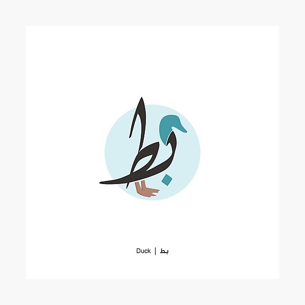 Duck - بط Photographic Print