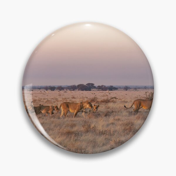 Item preview, Lions Of The Kalahari designed and sold by Kay Brewer.