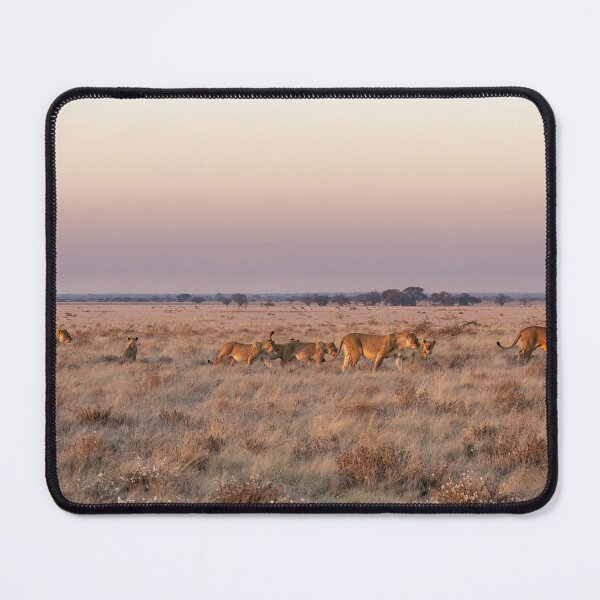 Item preview, Lions Of The Kalahari designed and sold by Kay Brewer.