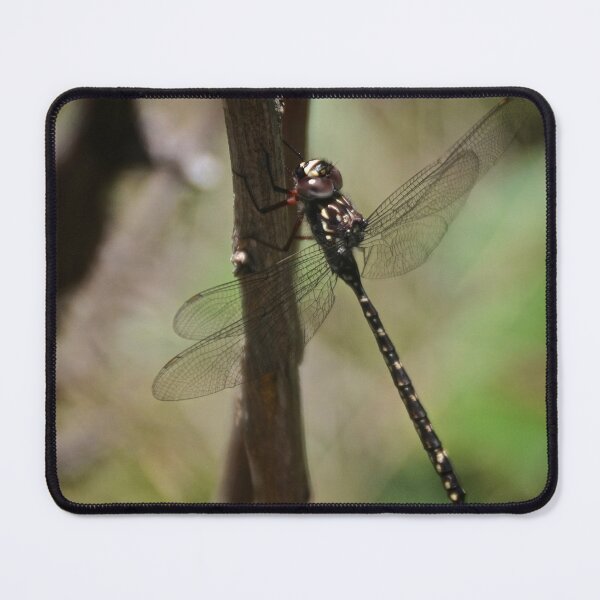 Item preview, Dragon Fly designed and sold by D-GaP.