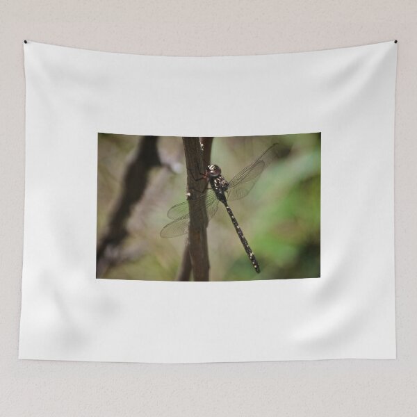 Item preview, Dragon Fly designed and sold by D-GaP.