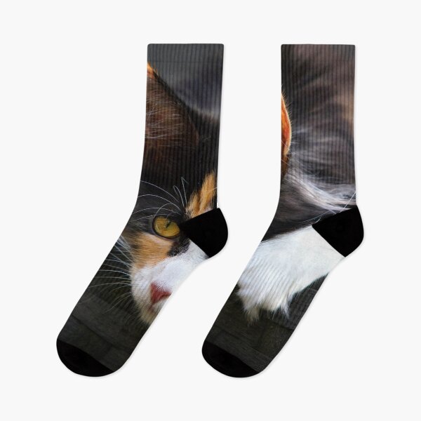 Item preview, ANIMALS #8 - Calico Cat Curiosity designed and sold by DEL-Productions.