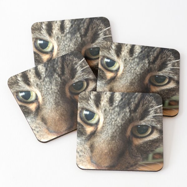 Item preview, Kitty Closeup designed and sold by prunellaparsnip.