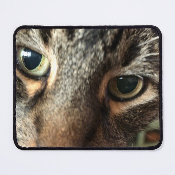 Item preview, Kitty Closeup designed and sold by prunellaparsnip.