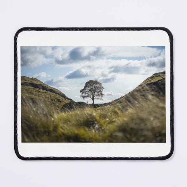 Item preview, Sycamore Gap designed and sold by younessalmi.