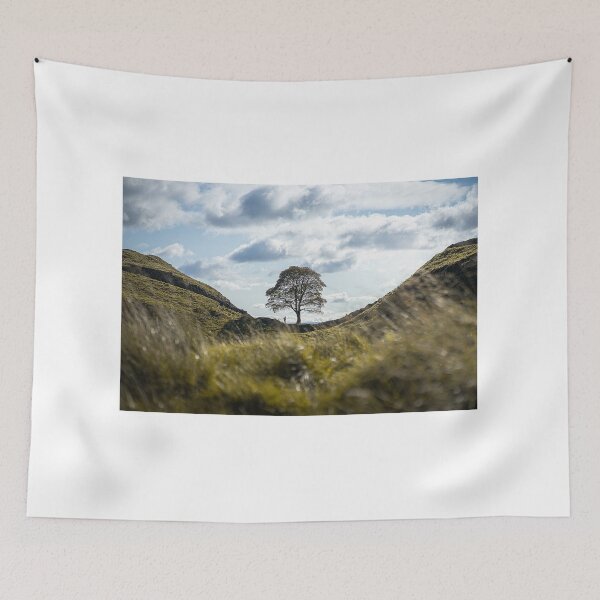 Item preview, Sycamore Gap designed and sold by younessalmi.