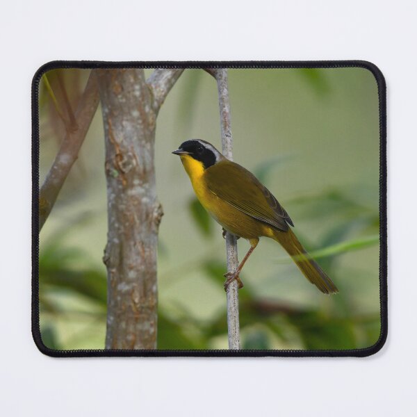 Item preview, Common Yellowthroat designed and sold by CloserToTheArt.
