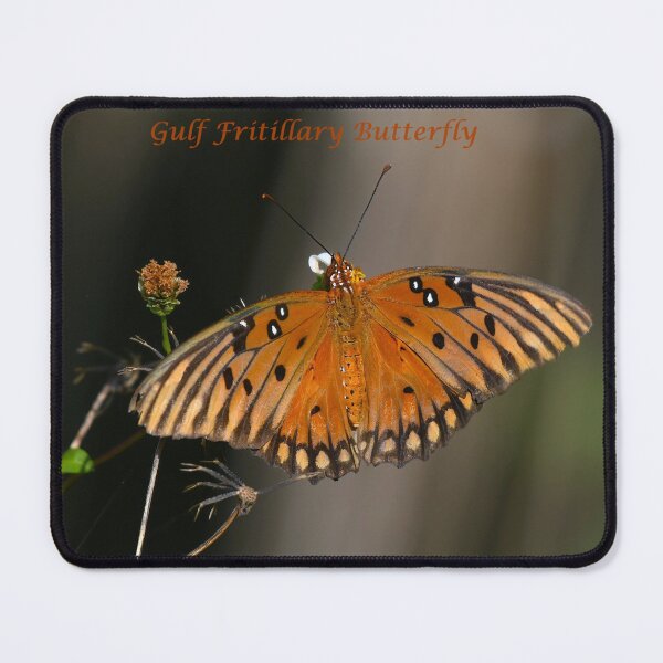 Item preview, Gulf Fritillary Butterfly designed and sold by CloserToTheArt.