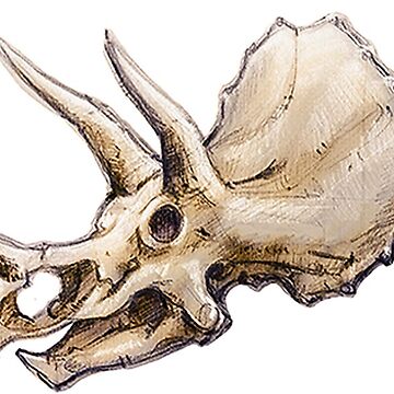 Artwork thumbnail, Dinosaur Skull Triceratops Sticker by CassWArt