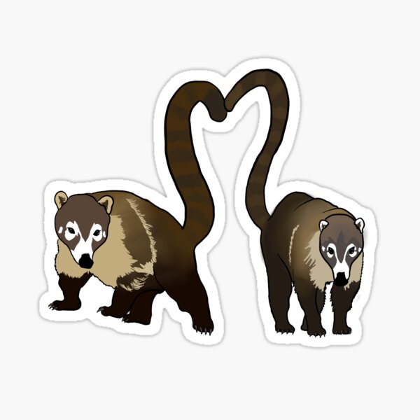 Item preview, White Nosed Coati heart  designed and sold by jmsmall1.
