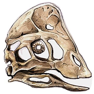 Artwork thumbnail, Dinosaur Skull Oviraptor Sticker  by CassWArt