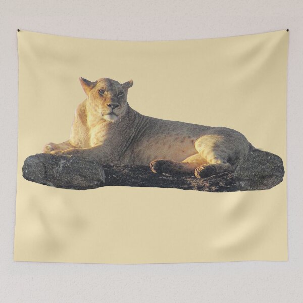 Artikelvorschau, Löwin auf Felsen - Raubkatze - Katze - Afrika entworfen und verkauft von TShirtsundMehr.