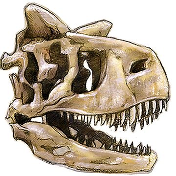 Artwork thumbnail, Dinosaur Skull Carnotaurus Sticker by CassWArt