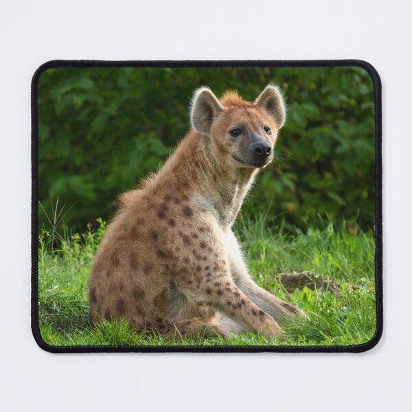 Item preview, Joyful Hyena Amidst Greenery designed and sold by rawshutterbug.