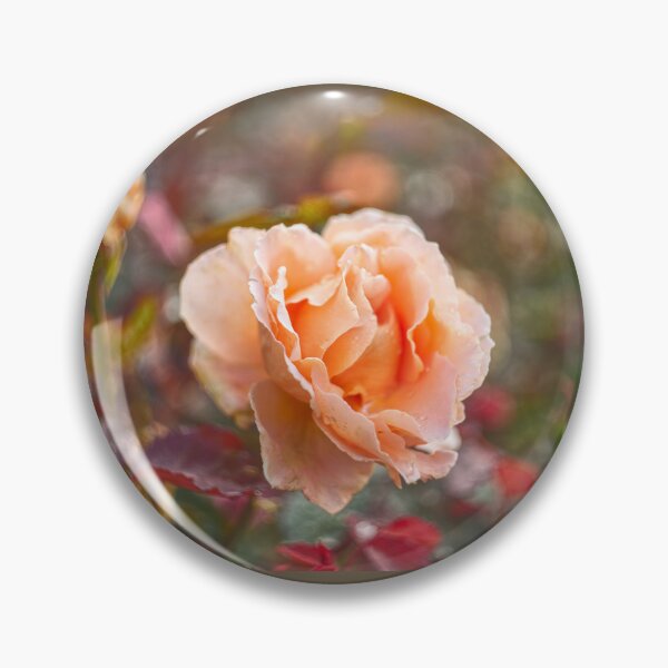 Item preview, Garden Rose designed and sold by Alisonchambers2.