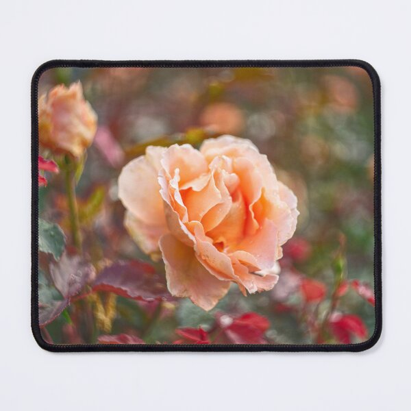 Item preview, Garden Rose designed and sold by Alisonchambers2.