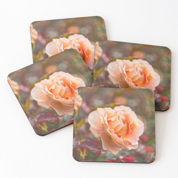 Item preview, Garden Rose designed and sold by Alisonchambers2.